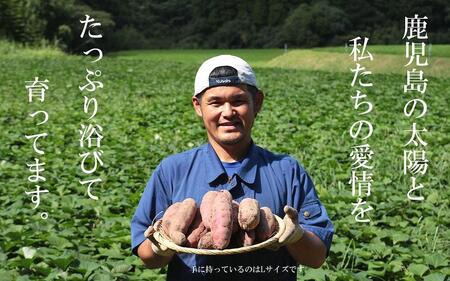 【鹿児島県産】熟成 紅はるか 3kg (1箱 ) Mサイズ さつまいも