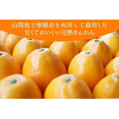 ふるさと納税 美郷町 完熟 きんかん 甘露煮 170g×6袋セット |  | 01