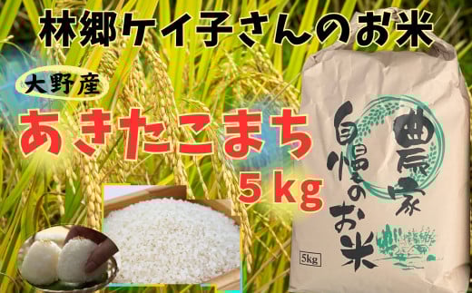 【令和7年産】大野産あきたこまち5㎏