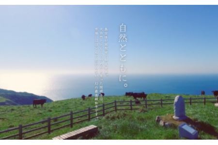【隠岐牛プレミアム生ハンバーグ 4個】600g 天然塩付 島生まれ島育ちのブランド黒毛和牛 隠岐牛