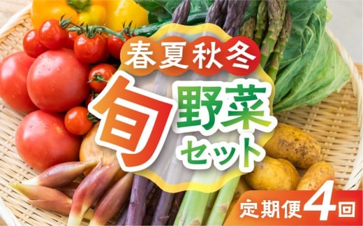 【4回定期便】飛騨の四季のお野菜 旬定期便　4回お届け 産直市から直送！ 飛騨産 旬の新鮮 野菜セット (5～6品)
