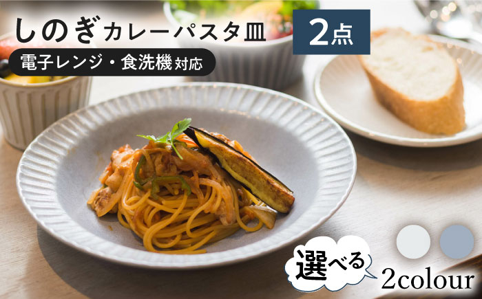
            【選べる2色タイプ】【美濃焼/みずなみ焼】 シックな 北欧風食器 しのぎカレーパスタ皿 2枚セット 瑞浪市 / 山喜製陶 プレート カレー皿 食器 [AZCP001]
          