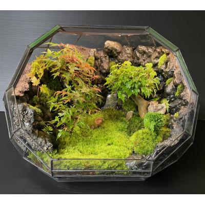 ふるさと納税 能勢町 苔テラリウム |  | 02