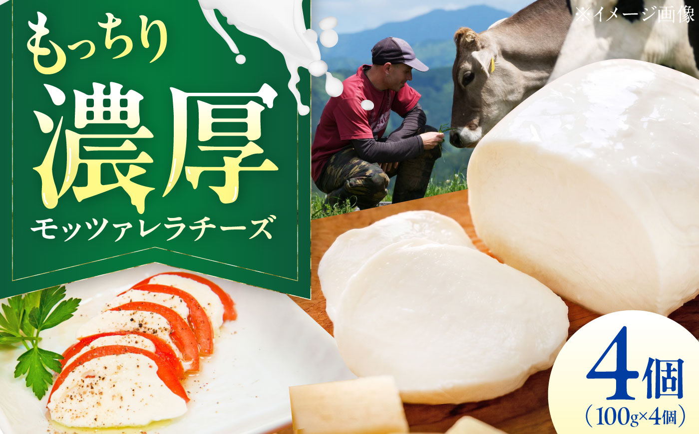 山地放牧酪農ミルクのモッツァレラチーズ 4個セット/チーズ   モッツアレラチーズ  愛媛県 伝統製法 おつまみ 乳製品/株式会社醍醐 [BKAH008]