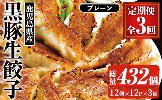 
            【3か月定期便】鹿児島黒豚生餃子 合計144個（12個×12P）を3回お届け（総量432個）【C-203H】
          