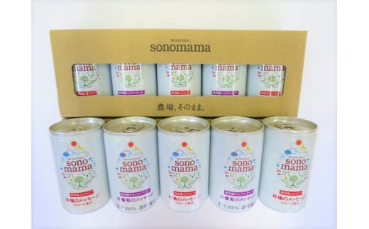 「sonomama」ミックス（160g×10本）