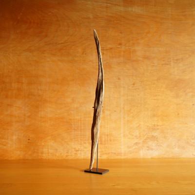 ふるさと納税 屋久島町 【屋久島の流木】中サイズ　タイプ4 |  | 01