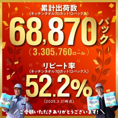 ふるさと納税 大分市 キッチンタオル70カット(4ロール×12パック)4回お届け定期便_T10037 |  | 01