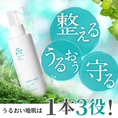 ふるさと納税 板倉町 うるおい地肌 セラミド化粧水(3本セット)スプレータイプ|13_log-020301 |  | 01