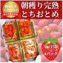 【ふるさと納税】【1月から順次発送】関さんちのこだわりいちご　朝穫り完熟とちおとめ(9～15粒×4パック)【配送不可地域：離島・北海道・沖縄県・九州】【1269894】