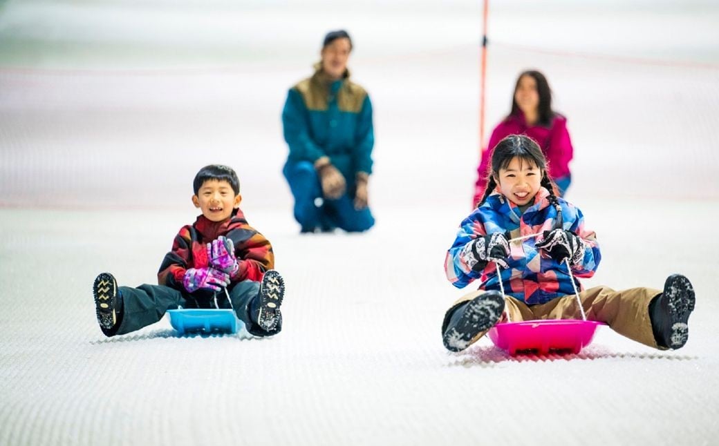 スキー場 狭山スキー場 親子ペアワンデーチケット2枚 | スキー場 スキージョウ すきーじょう 屋内スキー場 スキー場