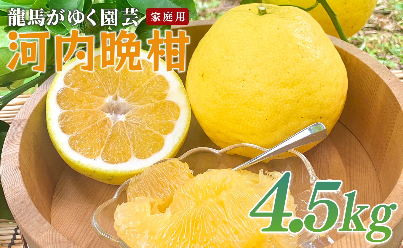 河内晩柑 4.5kg （M～5L） 【家庭用】 ばんかん 晩柑 バンカン 夏文旦  みかん 蜜柑 柑橘 フルーツ 果物 サイズミックス 初夏 夏 ジュース お酒 贈答用 ギフト お取り寄せ ビタミン 高知県 大月町 龍馬がゆく園芸