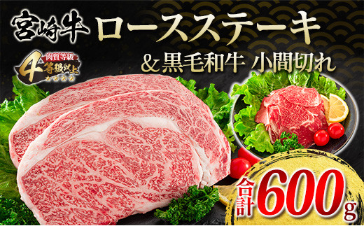 
宮崎牛 ロースステーキ 黒毛和牛 小間切れ セット 合計600g 肉 牛 牛肉 ステーキ ロース 国産 おかず 食品 送料無料_F62-21
