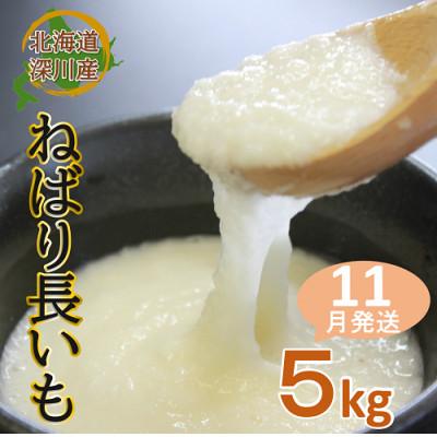 ふるさと納税 深川市 ≪令和7年産先行受付≫北海道深川市産　ねばり長いも　5kg