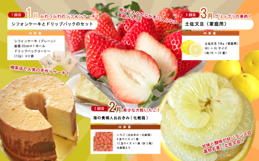 【年末限定】 12回 定期便 四万十 人気 グルメ お楽しみ定期便 しまんと ふるさと 30万円 今だけ 年末 限定 肉 いちご 文旦 うなぎ 牛肉 パン まぐろ マグロ かつお フルーツ 人気グルメ