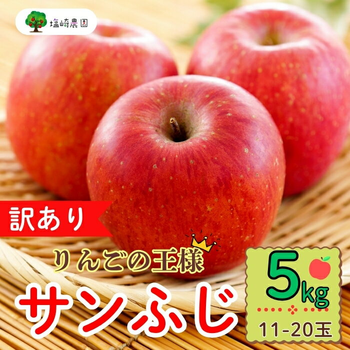 【ふるさと納税】【先行予約】 【訳あり】規格外 サンふじ 約5kg (11〜20玉）（2025年産） (7-A39-2)＜出荷時期：2025年12月中旬ごろ〜＞【 りんご フルーツ 長野県 飯山市 甘味 酸味 リンゴ 林檎 くだもの 果物 ギフト プレゼント お歳暮 御歳暮 わけあり 訳あり 】