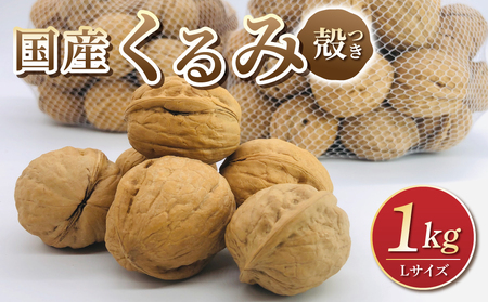 【アルファーム】令和7年産信濃くるみ　殻付きタイプ（Lサイズ）※2025年11月下旬以降発送　くるみくるみくるみくるみくるみくるみくるみ