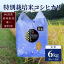 【ふるさと納税】【50セット限定】令和6年産 新潟上越清里産 特別栽培米コシヒカリ6kg(2kg×3袋)玄米　お届け：ご入金確認後、2～3週間を目途に順次発送いたします。