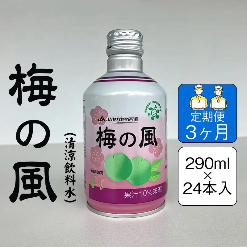 【定期便3ヶ月】梅の風（清涼飲料水）　290ml×24本入り【 神奈川県 山北町 】
