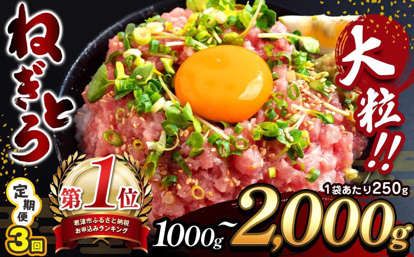 
            【 3ヶ月 定期便 】【選べる容量】 清幸丸水産 大人気！ ねぎとろ 1000g～2000g（250g 小分け） | 1000g 1250g 1500g ネギトロ とろ 鮪 マグロ まぐろ たたき まぐろたたき 海鮮 海鮮丼 魚介 魚 人気 小分け 人気 定番 ご飯 オススメ 海鮮 海鮮丼 千葉県 君津市 きみつ 定期 3回
          