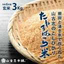 【ふるさと納税】米 玄米 コシヒカリ 新潟 令和6年 G3-6G03旧山古志村のこしひかり「たねすはら米」玄米3kg（新潟県産コシヒカリ）