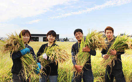《先行予約》《2025年12月発送》 令和7年産 さがびより（精米）15㎏