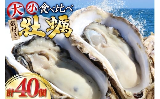 【期間限定発送】 殻付き 牡蠣 計40個 2種(三陸ジオイスター ＆ OMAKI ) 食べ比べ セット 各20個 牡蠣ナイフ付 [Geoyst 宮城県 南三陸町 m304bdz670001] かき カキ オイスター 生牡蠣  真牡蠣 