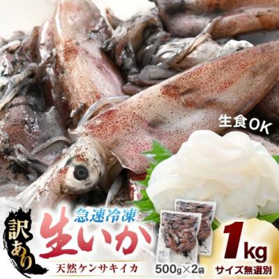 ふるさと納税 越前町 【急速冷凍】【訳あり】生いか 天然ケンサキイカ サイズ無選別 1kg(500g × 2袋)