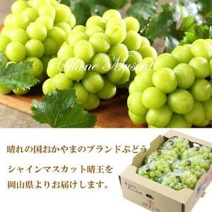 【2025年7月発送】岡山県産　シャインマスカット　晴王　4kg(5房～10房)【配送不可地域：離島・北海道・沖縄県】【1365939】