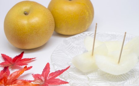 先行予約 和梨 新興 自家用 約5kg [11月上旬から発送予定] 令和7年度 梨 新潟フルーツ 新潟県産 [小林農園] 【010P075】