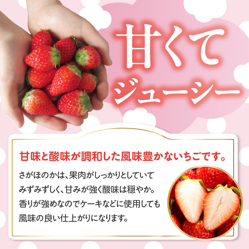 ★予約受付★杉山いちご農園 佐賀県玄海町産「さがほのかDX」毎月定期便 さがほのかDX定期便