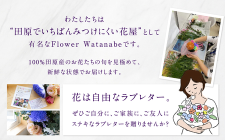 【定期便】お花屋さんのタハナＢＯＸ 定期便6回 フラワーアレンジメント