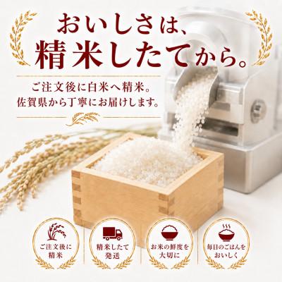 ふるさと納税 多久市 令和7年産 夢しずく白米10kg(5kg×2袋)(多久市) |  | 01
