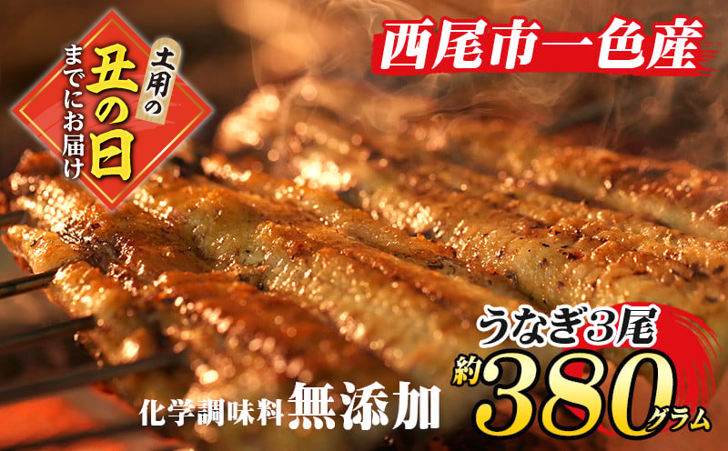 【土用の丑の日までにお届け】手焼き　三河一色産うなぎ蒲焼3尾(約380g)和食処愛お奨めの逸品！無頭 鰻 ウナギ うなぎ 蒲焼 国産 うなぎ蒲焼 タレ付き たれ 国産うなぎ 蒲焼き うな丼 丑の日 土用の丑の日 ・A130-22