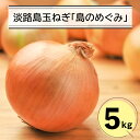 【ふるさと納税】淡路島玉ねぎ「島のめぐみ」5キロ