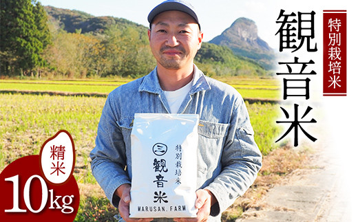 
特別栽培米～観音米～ 10kg （令和5年産） 【マルサンファーム】 精米 青森 青森県 東北 米 お米 F21J-201
