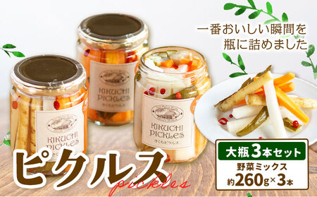 ピクルス 大瓶 3本セット 【メロンドーム】 約260g×3本 ピクルス 野菜 酢漬け 漬物 おつまみ 旬の野菜 《30日以内に出荷予定(土日祝除く)》