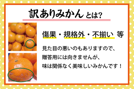 【訳あり】農家直送 有田みかん 約8kg ご家庭用 サイズ混合 ※2024年11月中旬から2025年1月中旬までに順次発送予定（お届け日指定不可）※北海道・沖縄・離島への配送不可 / 温州みかんサイズ