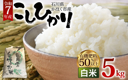 【令和7年産】こしひかり  白米 5kg | コシヒカリ 