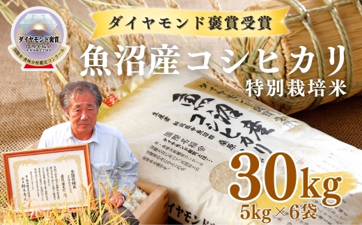 【令和8年産先行予約】魚沼産コシヒカリ 30kg(5kg×6袋) 特別栽培米 ダイヤモンド褒賞受賞 |  新潟産コシヒカリ 新潟県産コシヒカリ 魚沼産こしひかり 米 お米 こしひかり 白米 精米 ブランド米 最高級 新潟県 津南町