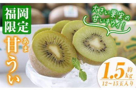 ＜先行予約受付中！2026年10月下旬～11月下旬に順次発送予定＞甘うぃ キウイ(約1.5kg・12-15玉)＜離島配送不可＞【ksg0124】【南国フルーツ】