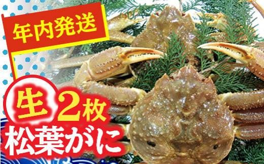 
                  【先行予約】松葉ガニ（生なま）2枚【年内配送】※着日指定不可※北海道、沖縄、一部離島への配送不可【松葉がに 松葉蟹 蟹 カニ かに 国産 人気 おすすめ 鳥取県 琴浦町 送料無料】
                