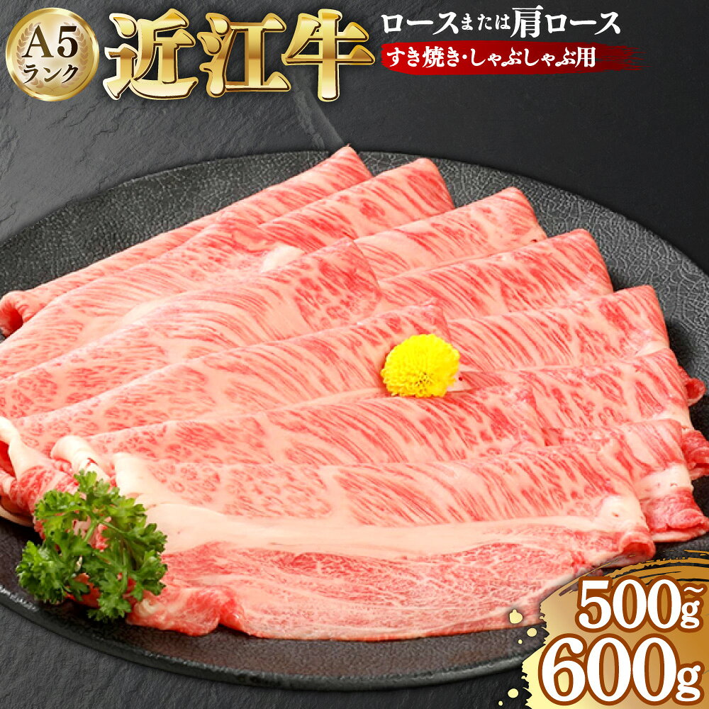 【ふるさと納税】＜選べる内容量＞近江牛A5ランクロースすき焼き・しゃぶしゃぶ用 特製すき焼きのたれ付 500g / 600g 近江牛 牛肉 お肉 ロース 肩ロース すき焼き すき焼 すきやき しゃぶしゃぶ 冷凍 滋賀県産 国産 滋賀県 湖南市 送料無料