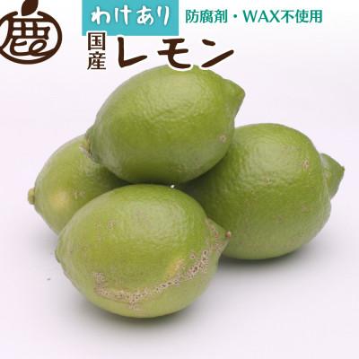 ふるさと納税 湯浅町 わけあり レモン10kg+250g(傷み補償分)【防腐剤・WAX不使用、安心の国産】【訳ありレモン】