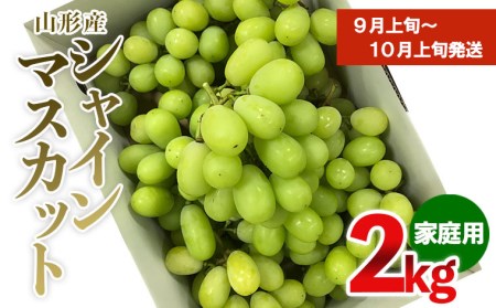 【ご家庭用】シャインマスカット 2kg入り 1箱 [前半] 【令和7年産先行予約】FU19-485 くだもの 果物 フルーツ 山形 山形県 山形市 2025年産