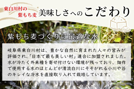 【令和7年度産】 東白川村産 紫もち麦 ダイシモチ 150g×3袋 計450g お米 こめ もち麦 雑穀 精米 ご飯 お取り寄せ