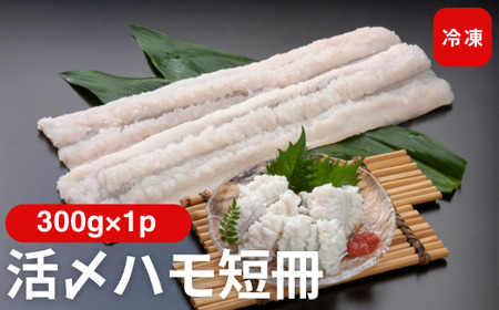 活〆鱧短冊300g 冷凍 鱧 ハモ 鱧短冊 北風鮮魚 愛媛県 伊予市 | A86