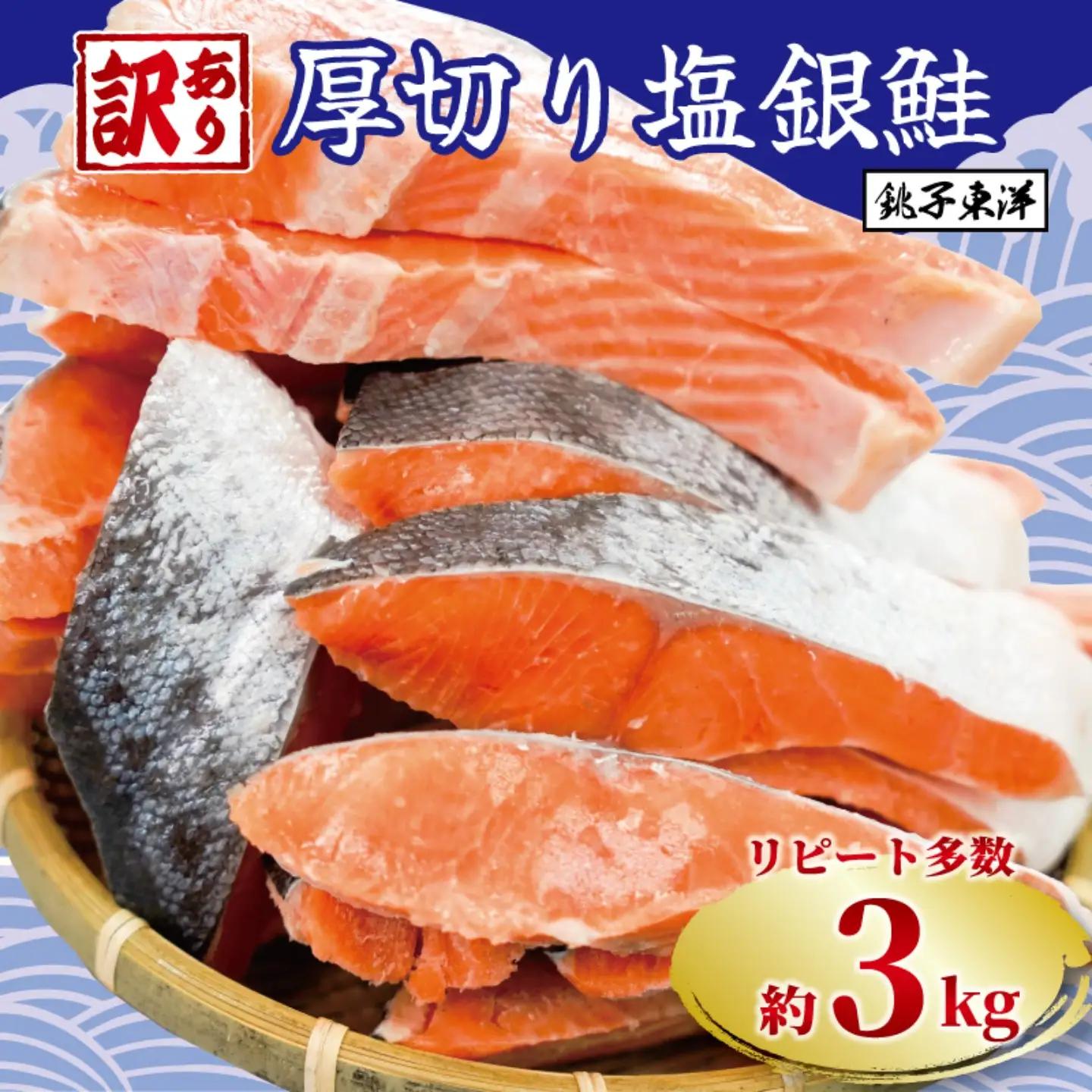 訳あり 銀鮭 3kg 鮭