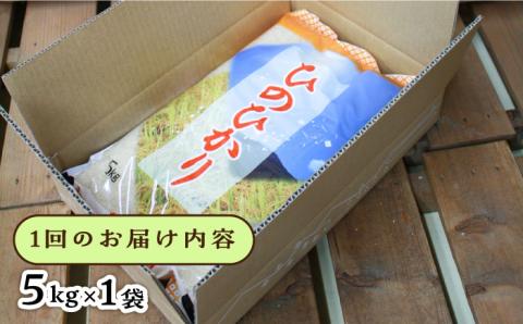 【全12回定期便】糸島産 ひのひかり 5kg × 12回 糸島市 / 三島商店 [AIM010]