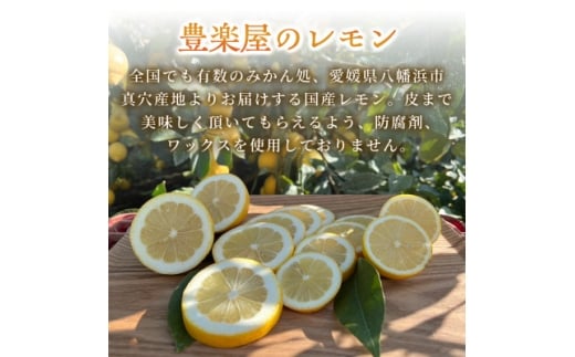 ＜防腐剤・ワックス不使用で安心＞真穴産地直送のレモン 3kg×2箱(2Lサイズ 大玉)＜E98-8＞【1711281】